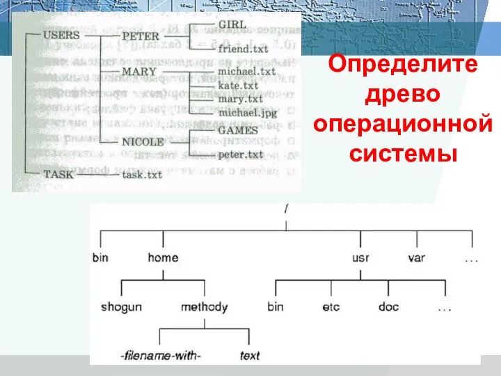 Определите древо операционной системы