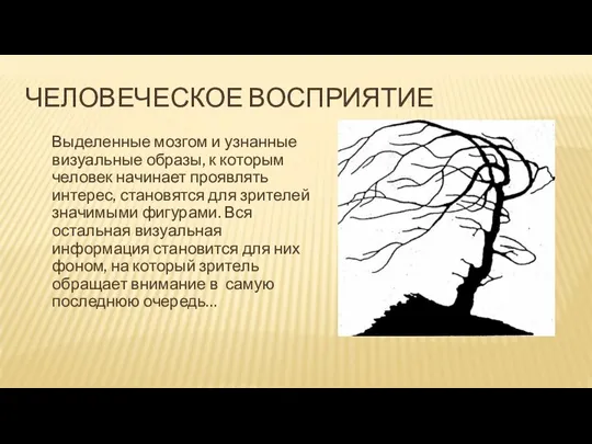 ЧЕЛОВЕЧЕСКОЕ ВОСПРИЯТИЕ Выделенные мозгом и узнанные визуальные образы, к которым человек начинает