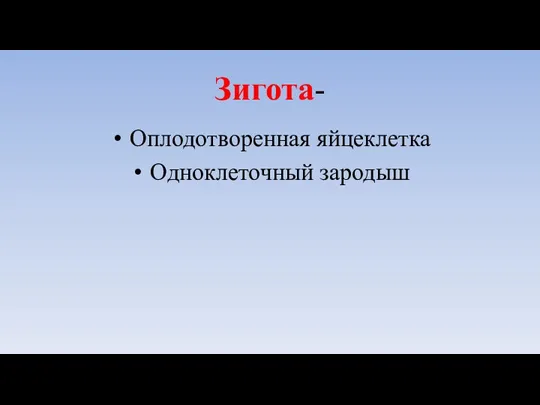 Зигота- Оплодотворенная яйцеклетка Одноклеточный зародыш