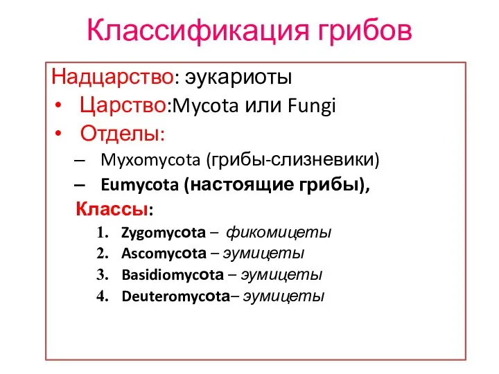 Классификация грибов Надцарство: эукариоты Царство:Mycota или Fungi Отделы: Myxomycota (грибы-слизневики) Eumycota (настоящие