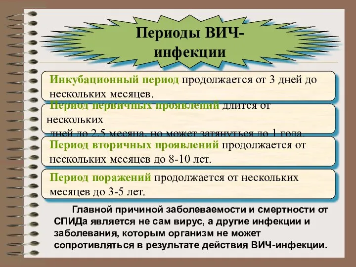 Периоды ВИЧ-инфекции Инкубационный период продолжается от 3 дней до нескольких месяцев. Период