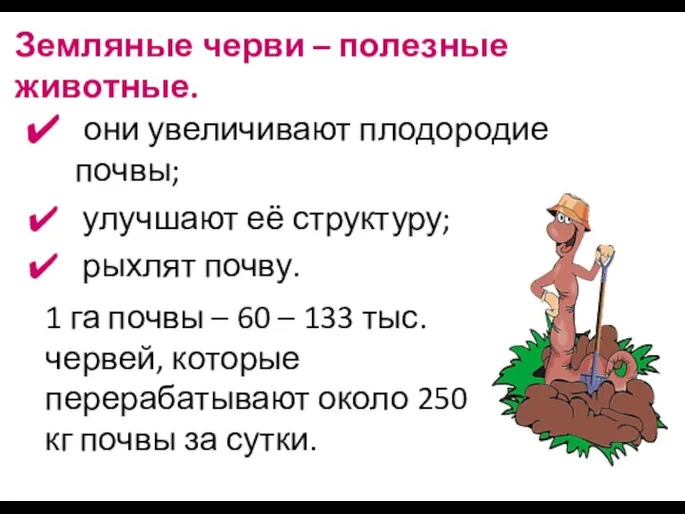 Земляные черви – полезные животные. они увеличивают плодородие почвы; улучшают её структуру;