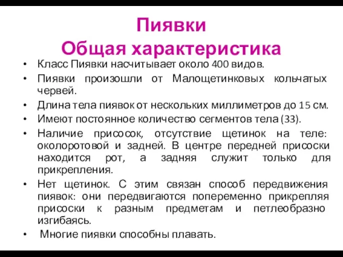 Пиявки Общая характеристика Класс Пиявки насчитывает около 400 видов. Пиявки произошли от