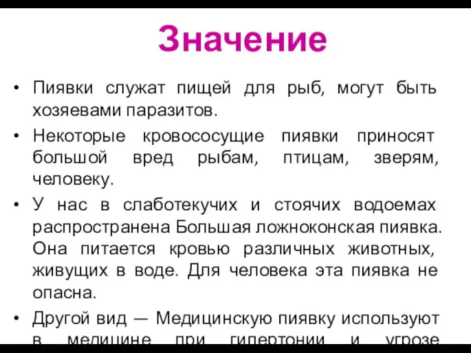 Значение Пиявки служат пищей для рыб, могут быть хозяевами паразитов. Некоторые кровососущие