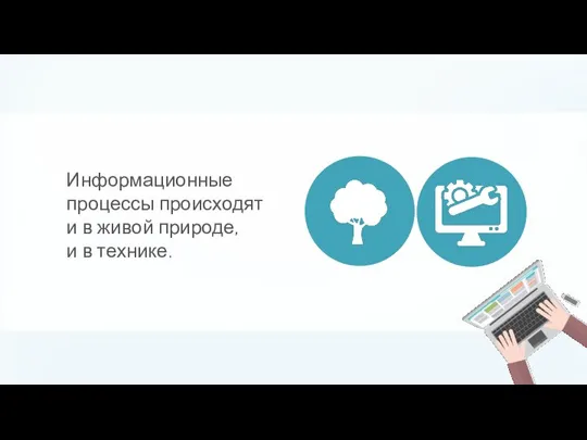 Информационные процессы происходят и в живой природе, и в технике.