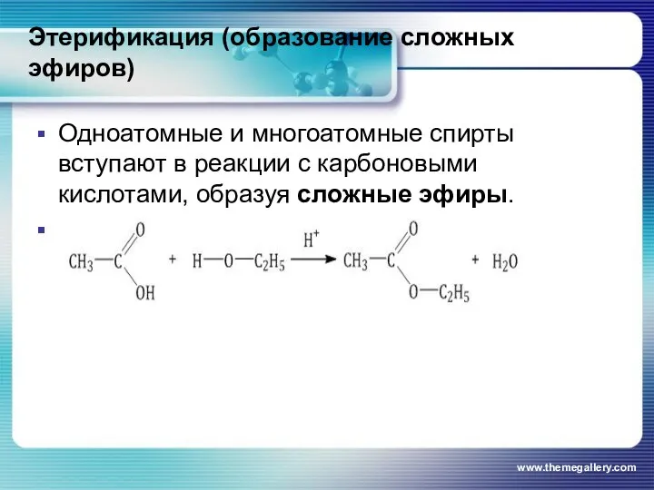 Этерификация (образование сложных эфиров) Одноатомные и многоатомные спирты вступают в реакции с