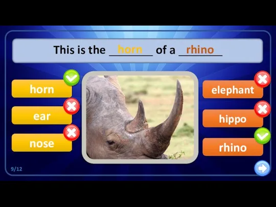 horn rhino elephant This is the _______ of a _______ nose ear hippo horn rhino 9/12