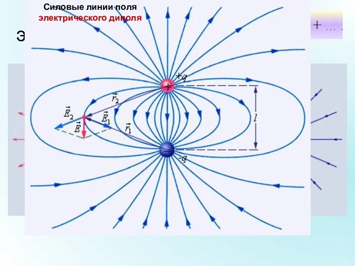 Силовые линии электрических полей Силовые линии кулоновских полей Силовые линии поля электрического диполя