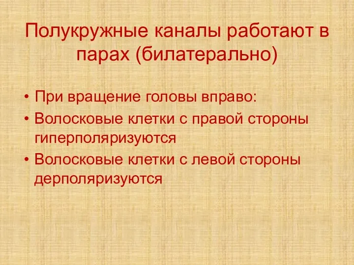 Полукружные каналы работают в парах (билатерально) При вращение головы вправо: Волосковые клетки