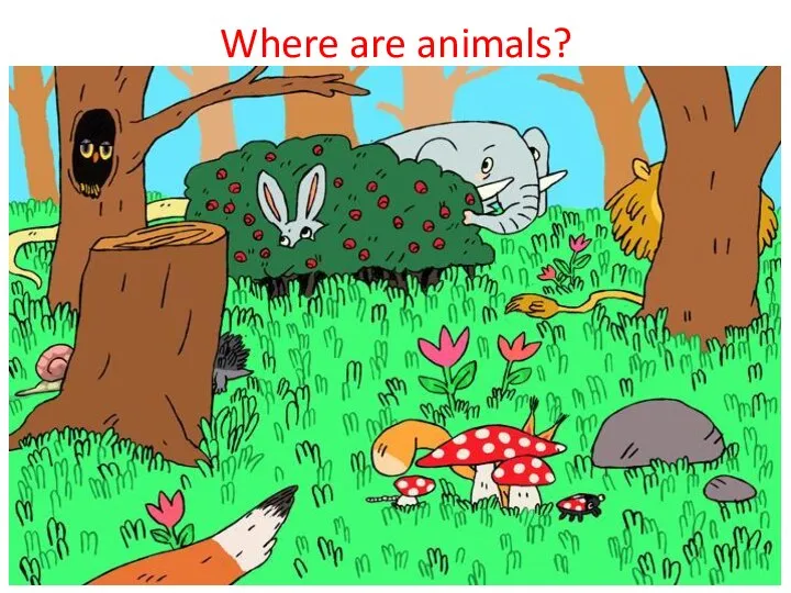 Where are animals?