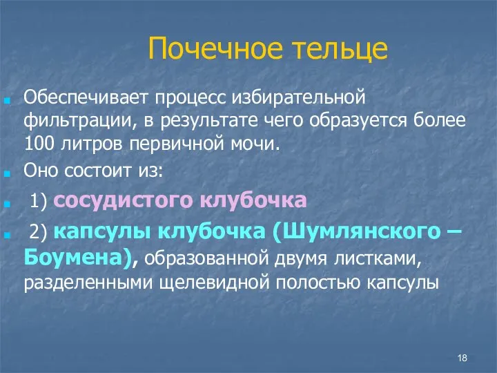 Почечное тельце Обеспечивает процесс избирательной фильтрации, в результате чего образуется более 100