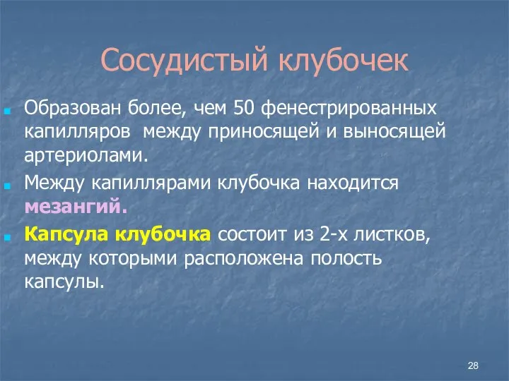 Сосудистый клубочек Образован более, чем 50 фенестрированных капилляров между приносящей и выносящей