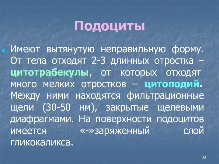 Подоциты Имеют вытянутую неправильную форму. От тела отходят 2-3 длинных отростка –