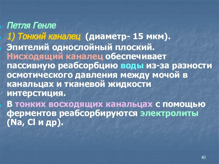 Петля Генле 1) Тонкий каналец (диаметр- 15 мкм). Эпителий однослойный плоский. Нисходящий