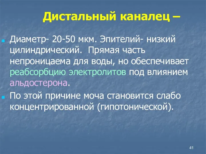 Дистальный каналец – Диаметр- 20-50 мкм. Эпителий- низкий цилиндрический. Прямая часть непроницаема