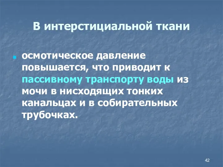 В интерстициальной ткани осмотическое давление повышается, что приводит к пассивному транспорту воды