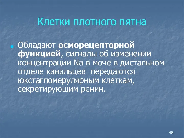 Клетки плотного пятна Обладают осморецепторной функцией, сигналы об изменении концентрации Na в