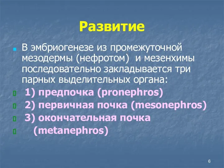 Развитие В эмбриогенезе из промежуточной мезодермы (нефротом) и мезенхимы последовательно закладывается три