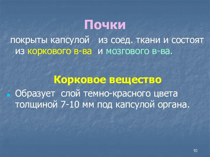 Почки покрыты капсулой из соед. ткани и состоят из коркового в-ва и