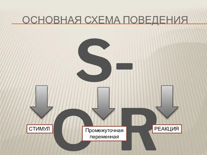 ОСНОВНАЯ СХЕМА ПОВЕДЕНИЯ S-О-R СТИМУЛ РЕАКЦИЯ Промежуточная переменная