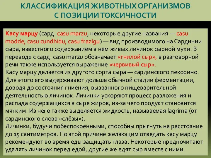 КЛАССИФИКАЦИЯ ЖИВОТНЫХ ОРГАНИЗМОВ С ПОЗИЦИИ ТОКСИЧНОСТИ Касу марцу (сард. casu marzu, некоторые