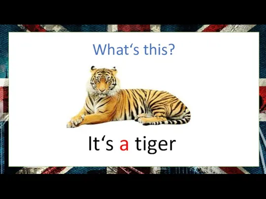 What‘s this? It‘s a tiger