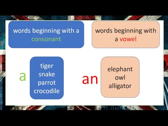 tiger snake parrot crocodile elephant owl alligator a an words beginning with