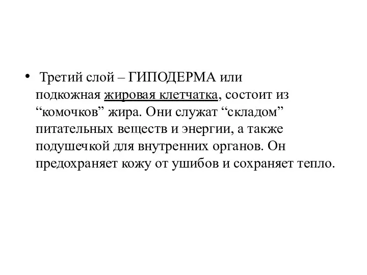 Третий слой – ГИПОДЕРМА или подкожная жировая клетчатка, состоит из “комочков” жира.