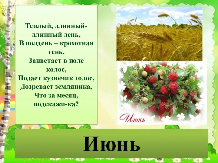 Июнь Теплый, длинный-длинный день, В полдень – крохотная тень, Зацветает в поле