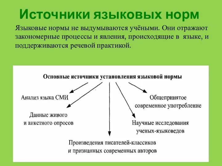 Источники языковых норм Языковые нормы не выдумываются учёными. Они отражают закономерные процессы