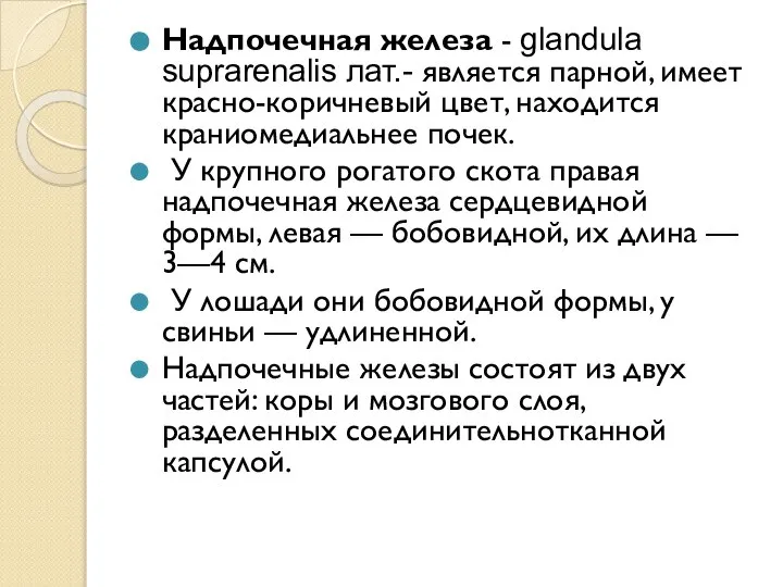 Надпочечная железа - glandula suprarenalis лат.- является парной, имеет красно-коричневый цвет, находится