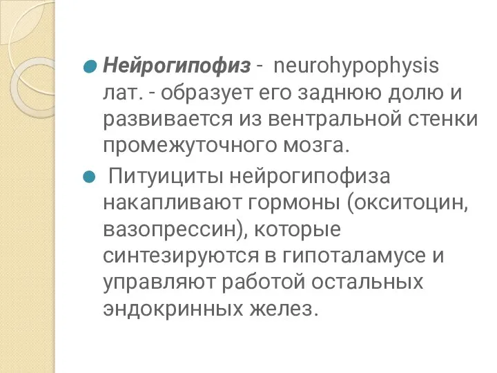 Нейрогипофиз - neurohypophysis лат. - образует его заднюю долю и развивается из