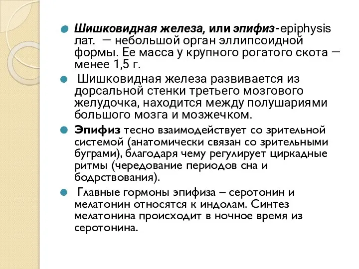 Шишковидная железа, или эпифиз-epiphysis лат. — небольшой орган эллипсоидной формы. Ее масса