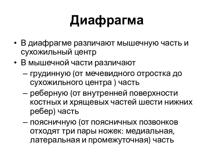 Диафрагма В диафрагме различают мышечную часть и сухожильный центр В мышечной части