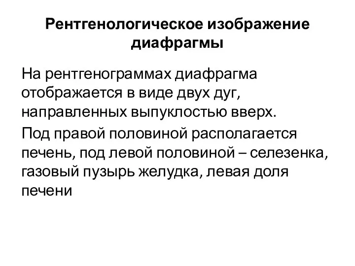 Рентгенологическое изображение диафрагмы На рентгенограммах диафрагма отображается в виде двух дуг, направленных