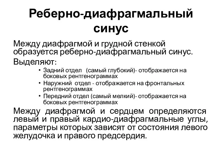 Реберно-диафрагмальный синус Между диафрагмой и грудной стенкой образуется реберно-диафрагмальный синус. Выделяют: Задний