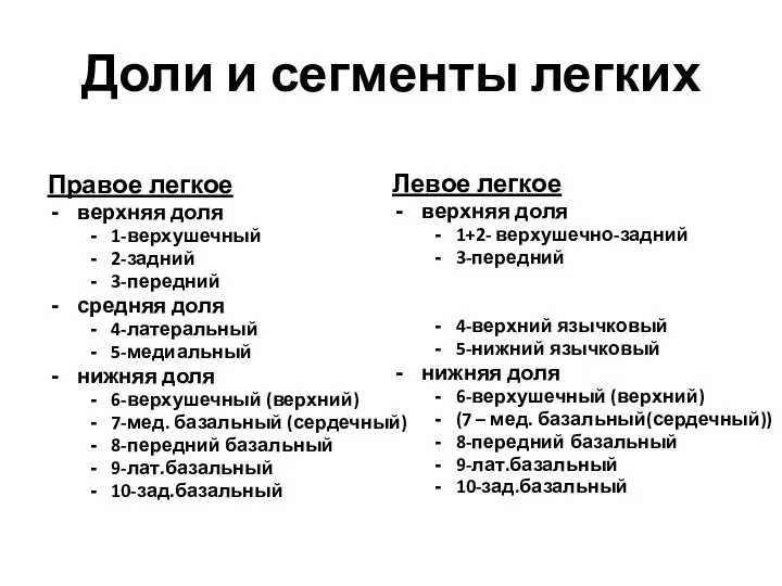 Доли и сегменты легких Правое легкое верхняя доля 1-верхушечный 2-задний 3-передний средняя