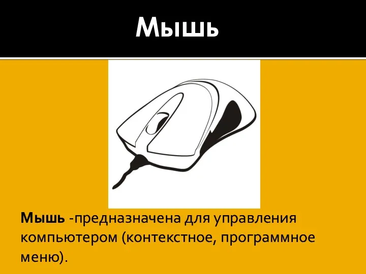 Мышь Мышь -предназначена для управления компьютером (контекстное, программное меню).