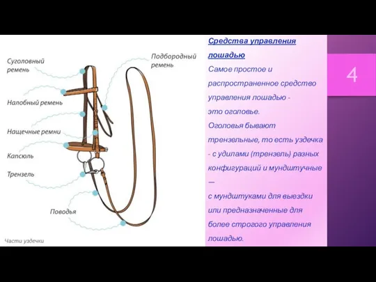 Средства управления лошадью Самое простое и распространенное средство управления лошадью - это