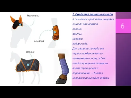 2. Средства защиты лошади К основным средствам защиты лошади относятся: попона, бинты,