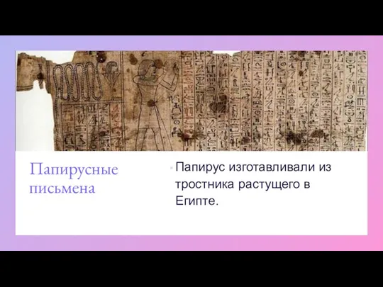 Папирусные письмена Папирус изготавливали из тростника растущего в Египте.