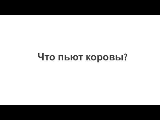 Что пьют коровы?