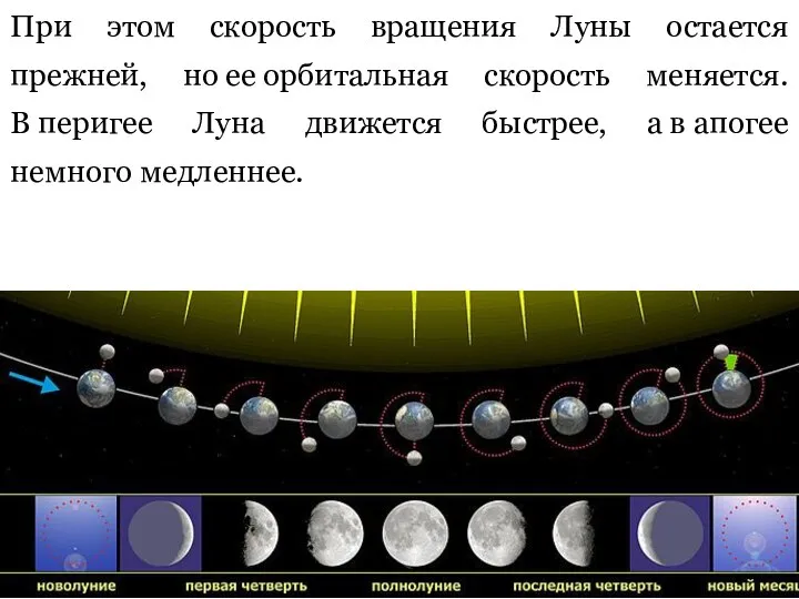 При этом скорость вращения Луны остается прежней, но ее орбитальная скорость меняется.