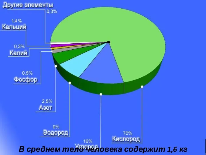 В среднем тело человека содержит 1,6 кг фосфора