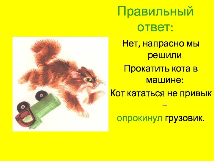 Правильный ответ: Нет, напрасно мы решили Прокатить кота в машине: Кот кататься