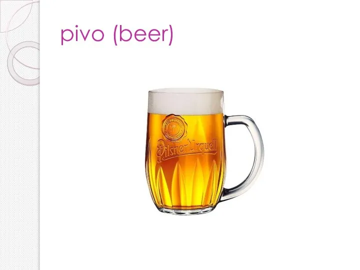 pivo (beer)