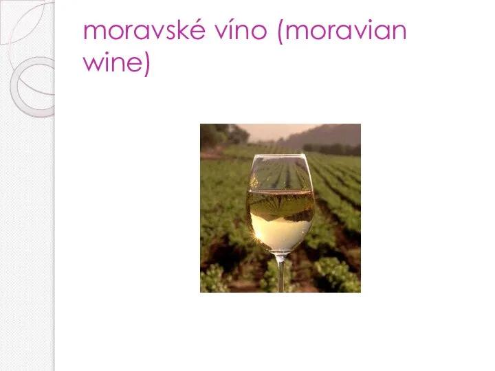 moravské víno (moravian wine)