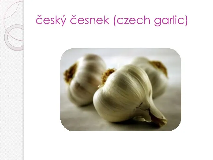 český česnek (czech garlic)