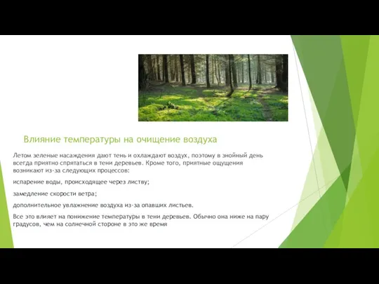 Влияние температуры на очищение воздуха Летом зеленые насаждения дают тень и охлаждают