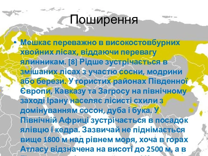 Поширення Мешкає переважно в високостовбурних хвойних лісах, віддаючи перевагу ялинникам. [8] Рідше